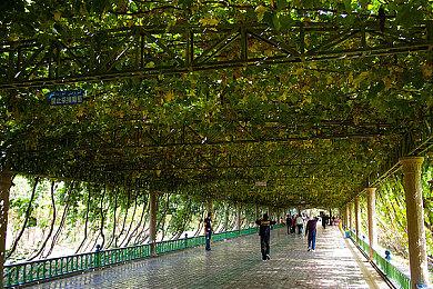 备受好评独立RPG《链接回声》M站被差评轰炸